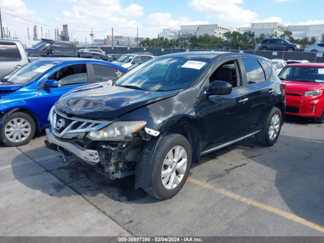 Photo 1 VIN: JN8AZ1MU4DW209309 - NISSAN MURANO 