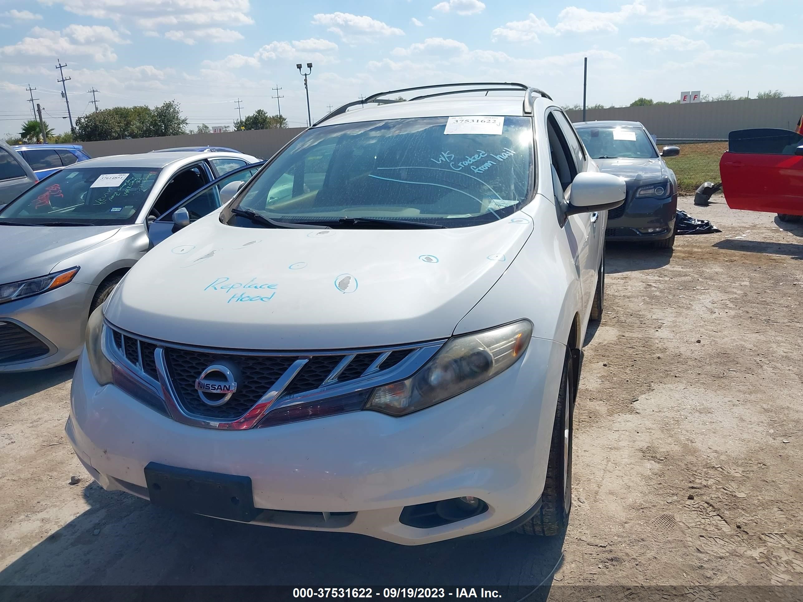 Photo 11 VIN: JN8AZ1MU4EW404859 - NISSAN MURANO 