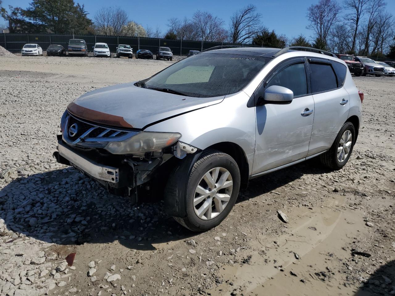 Photo 0 VIN: JN8AZ1MU5BW054816 - NISSAN MURANO 