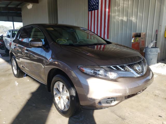 Photo 0 VIN: JN8AZ1MU5DW206676 - NISSAN MURANO S 