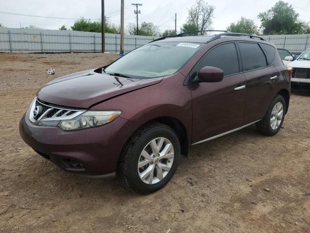 Photo 0 VIN: JN8AZ1MU5DW209707 - NISSAN MURANO 