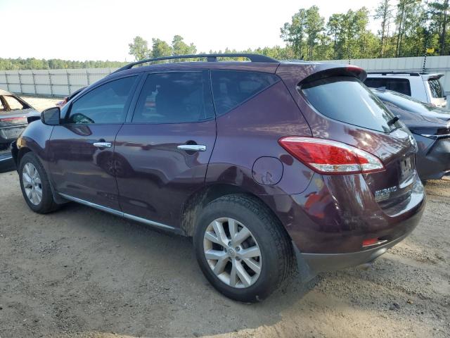 Photo 1 VIN: JN8AZ1MU6DW201602 - NISSAN MURANO 