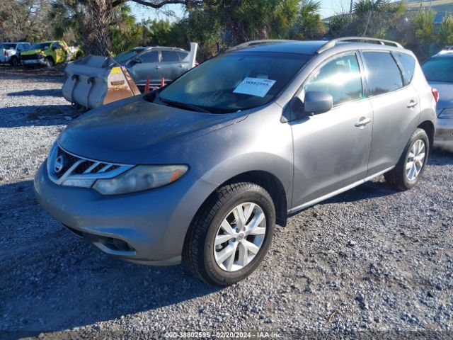 Photo 1 VIN: JN8AZ1MU6DW207531 - NISSAN MURANO 