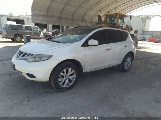 Photo 1 VIN: JN8AZ1MU6EW402661 - NISSAN MURANO 