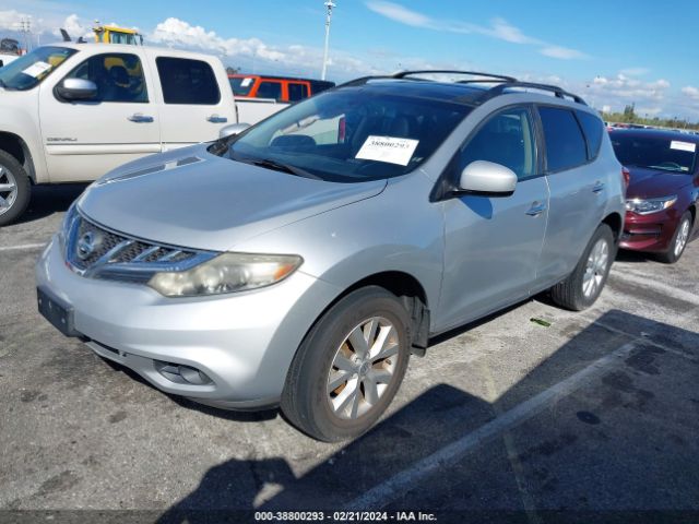 Photo 1 VIN: JN8AZ1MU8DW202038 - NISSAN MURANO 