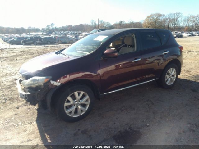 Photo 1 VIN: JN8AZ1MU9EW407899 - NISSAN MURANO 