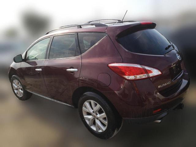 Photo 1 VIN: JN8AZ1MUXDW207743 - NISSAN MURANO 