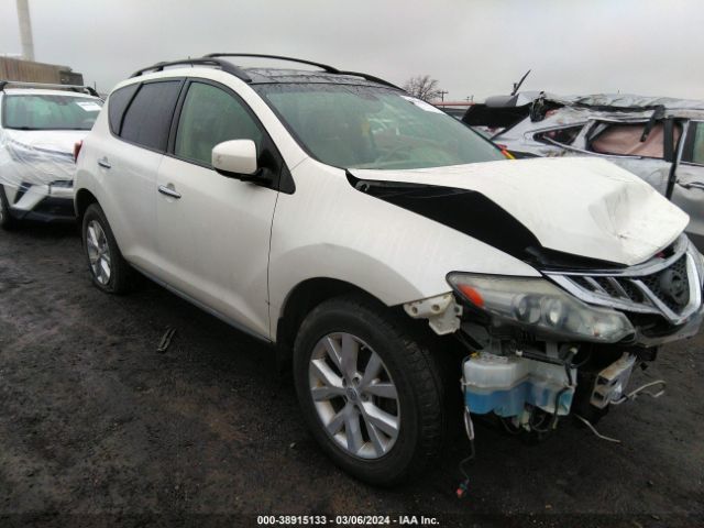 Photo 0 VIN: JN8AZ1MW0CW205192 - NISSAN MURANO 