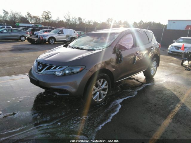 Photo 1 VIN: JN8AZ1MW0DW305357 - NISSAN MURANO 