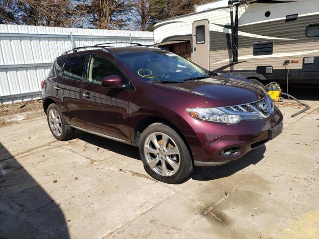 Photo 3 VIN: JN8AZ1MW0DW313961 - NISSAN MURANO S 