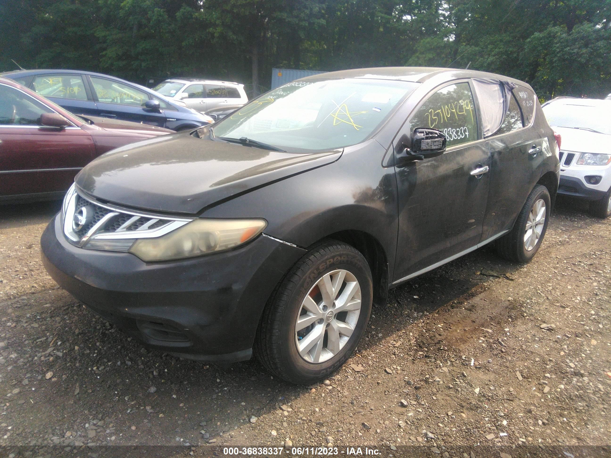 Photo 1 VIN: JN8AZ1MW0DW316293 - NISSAN MURANO 