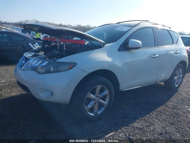 Photo 1 VIN: JN8AZ1MW1AW131553 - NISSAN MURANO 