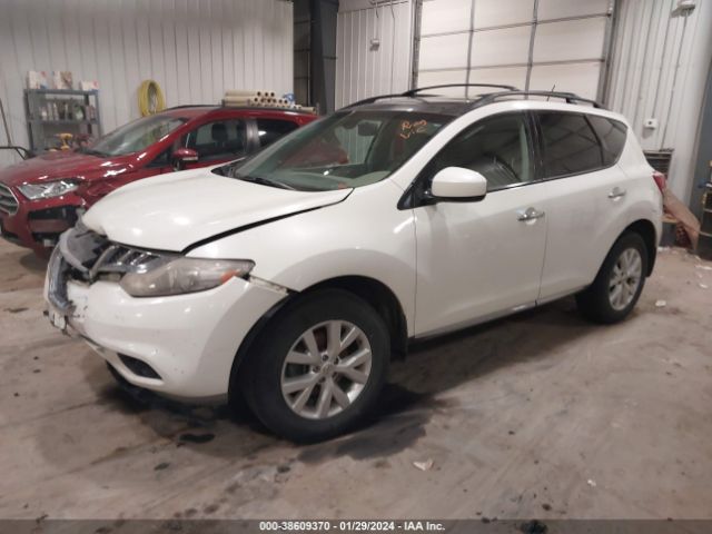 Photo 1 VIN: JN8AZ1MW1BW167213 - NISSAN MURANO 