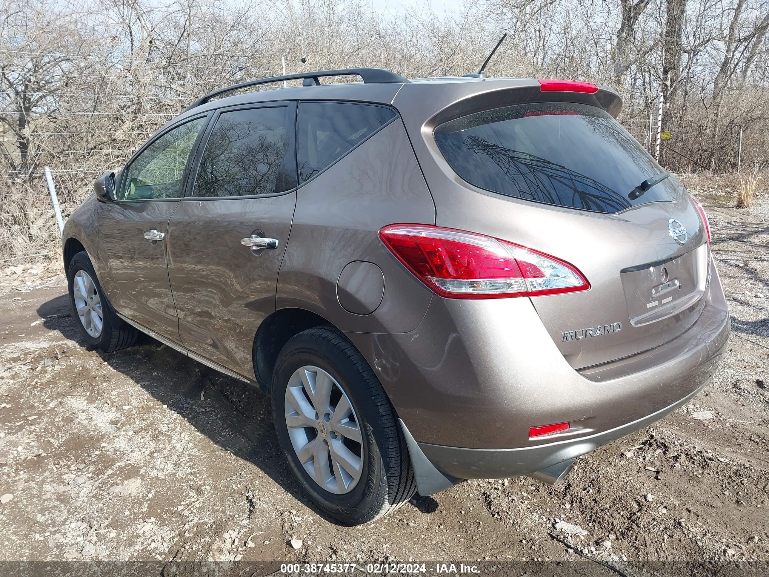 Photo 2 VIN: JN8AZ1MW1CW231624 - NISSAN MURANO 