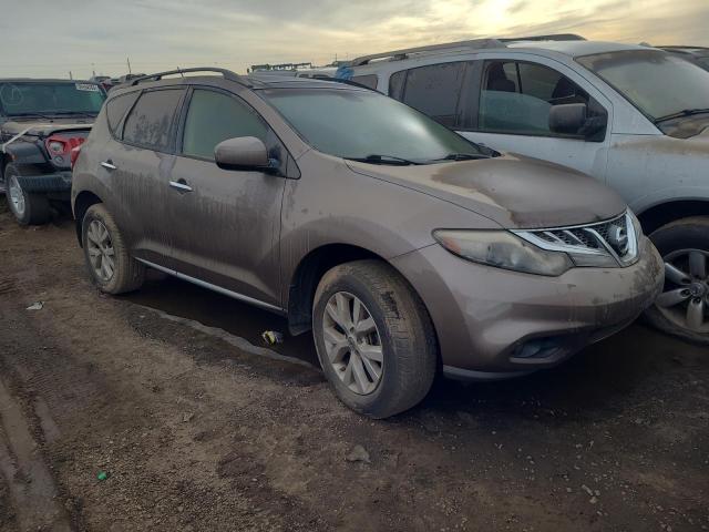 Photo 3 VIN: JN8AZ1MW1DW303228 - NISSAN MURANO S 