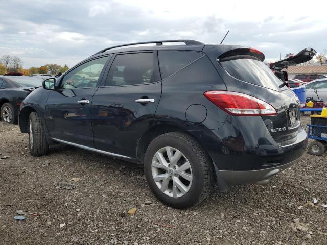 Photo 1 VIN: JN8AZ1MW1DW304105 - NISSAN MURANO 