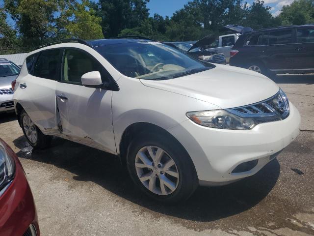 Photo 3 VIN: JN8AZ1MW1DW313743 - NISSAN MURANO S 