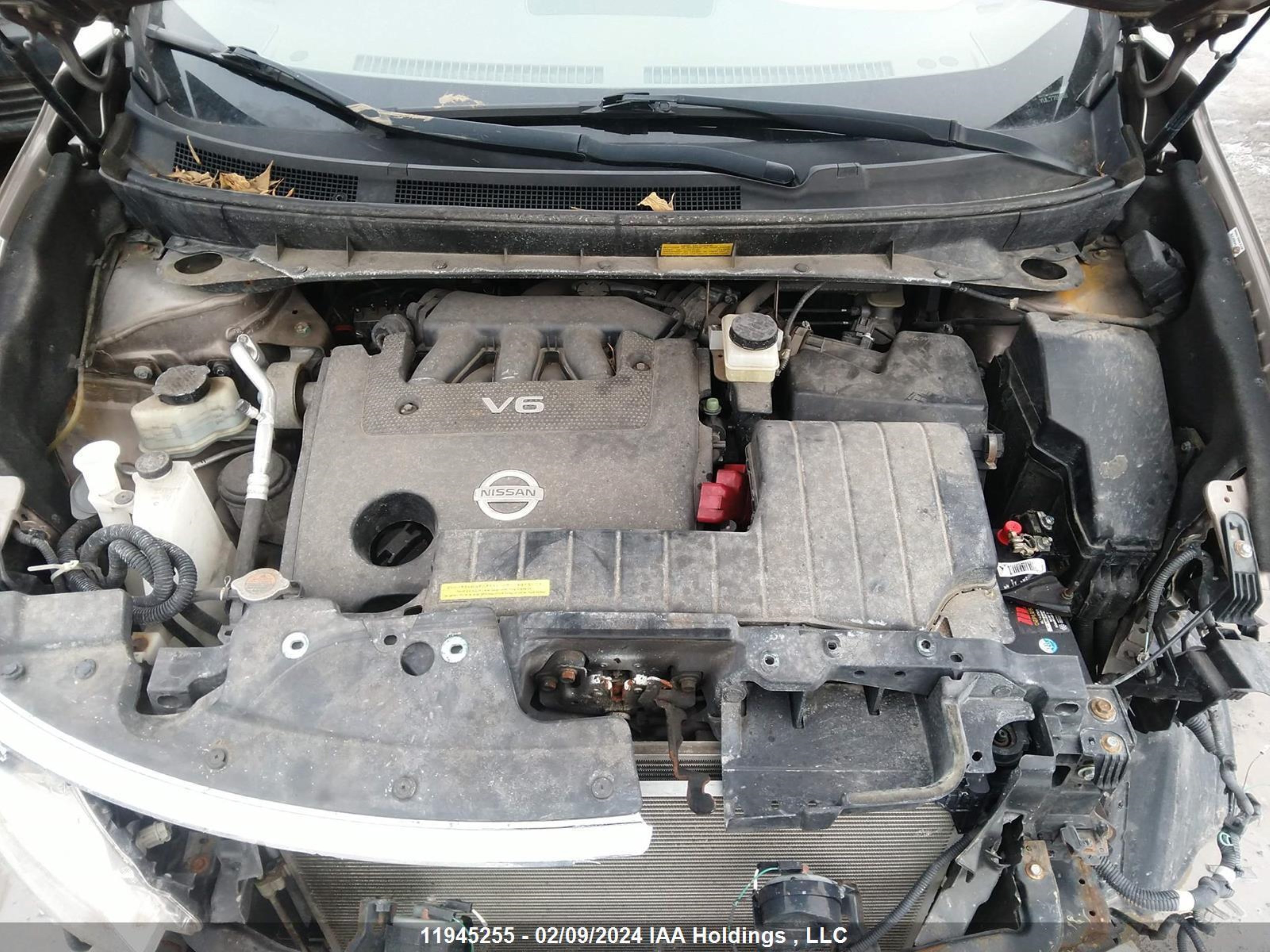 Photo 9 VIN: JN8AZ1MW1DW314780 - NISSAN MURANO 