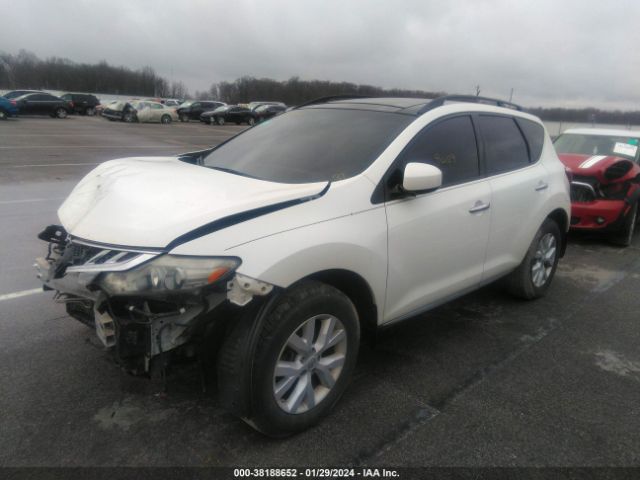 Photo 1 VIN: JN8AZ1MW2CW226979 - NISSAN MURANO 