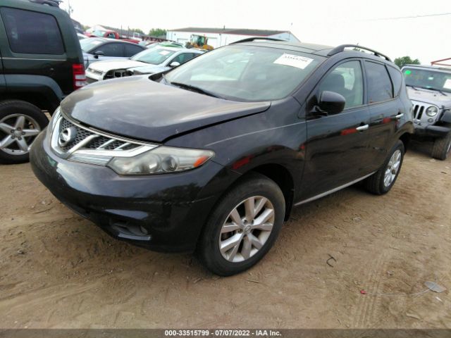 Photo 1 VIN: JN8AZ1MW2DW315128 - NISSAN MURANO 