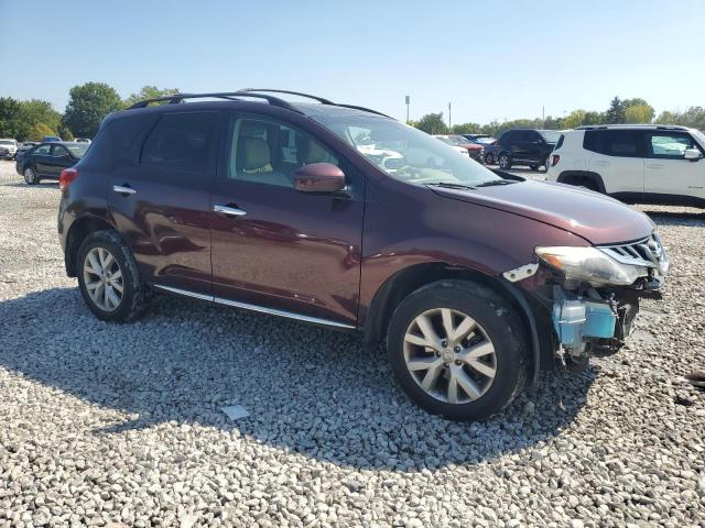 Photo 3 VIN: JN8AZ1MW2DW321897 - NISSAN MURANO S 