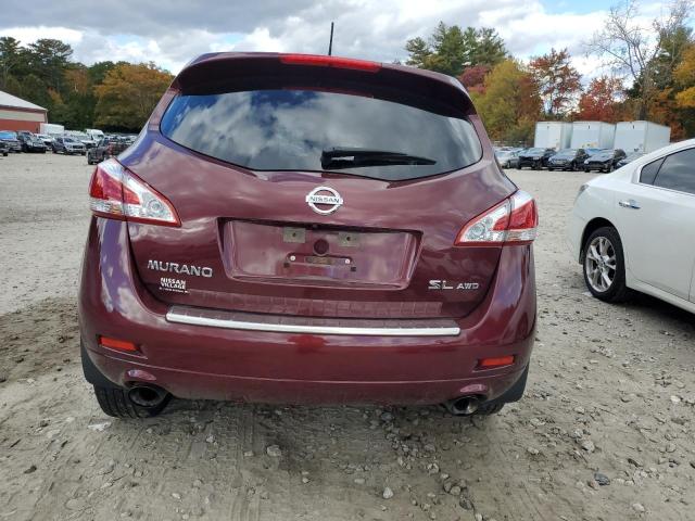 Photo 5 VIN: JN8AZ1MW3BW165799 - NISSAN MURANO 