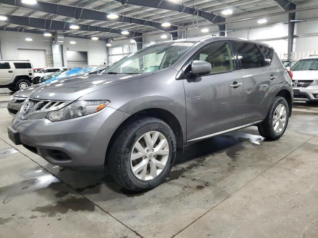 Photo 0 VIN: JN8AZ1MW3DW300315 - NISSAN MURANO 