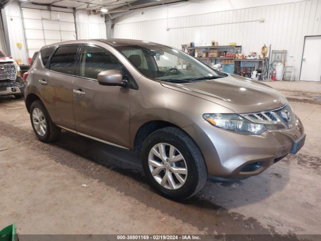 Photo 0 VIN: JN8AZ1MW3DW302727 - NISSAN MURANO 