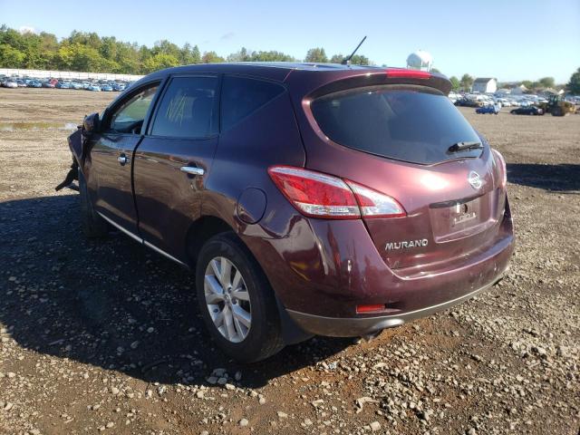 Photo 2 VIN: JN8AZ1MW3DW304977 - NISSAN MURANO S 