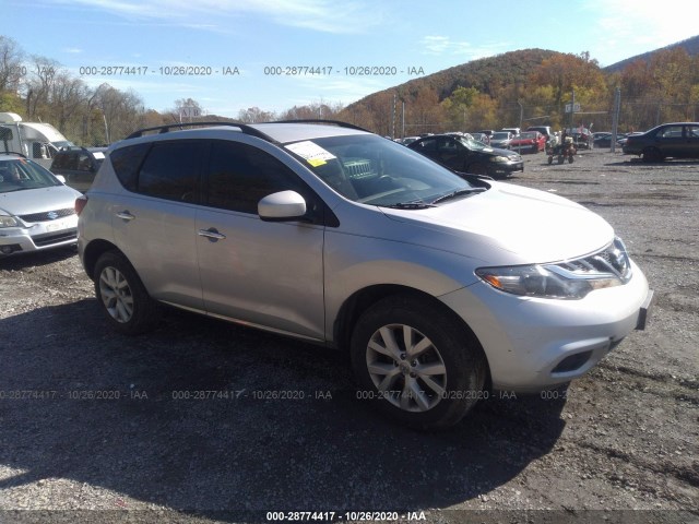 Photo 0 VIN: JN8AZ1MW3DW307300 - NISSAN MURANO 