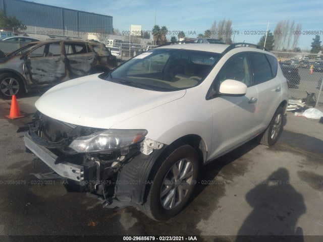 Photo 1 VIN: JN8AZ1MW3DW314442 - NISSAN MURANO 