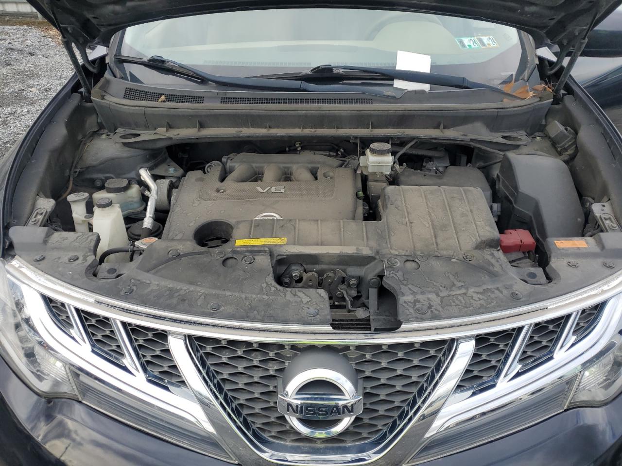 Photo 10 VIN: JN8AZ1MW3EW528784 - NISSAN MURANO 