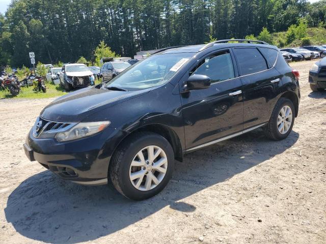 Photo 0 VIN: JN8AZ1MW4BW163091 - NISSAN MURANO 