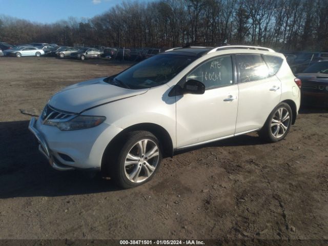 Photo 1 VIN: JN8AZ1MW5BW159583 - NISSAN MURANO 