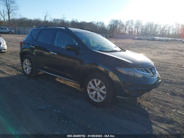 Photo 0 VIN: JN8AZ1MW5BW185276 - NISSAN MURANO 