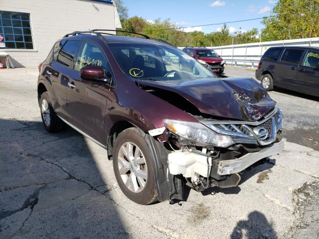 Photo 0 VIN: JN8AZ1MW5DW312479 - NISSAN MURANO S 