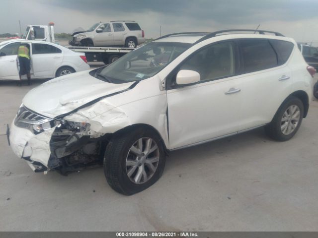 Photo 1 VIN: JN8AZ1MW6DW309705 - NISSAN MURANO 