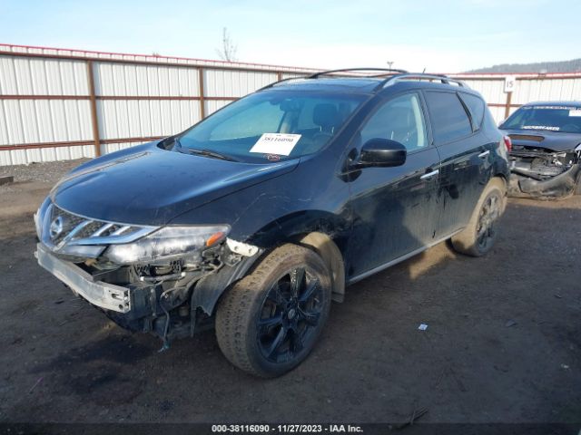 Photo 1 VIN: JN8AZ1MW6DW317805 - NISSAN MURANO 