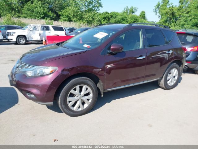 Photo 1 VIN: JN8AZ1MW6DW322390 - NISSAN MURANO 