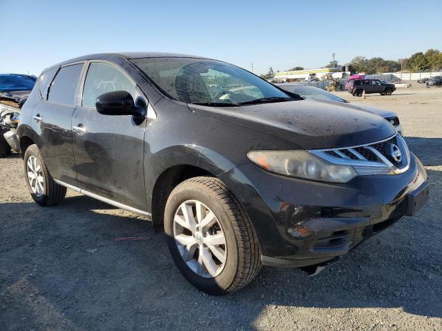 Photo 3 VIN: JN8AZ1MW7DW300219 - NISSAN MURANO 