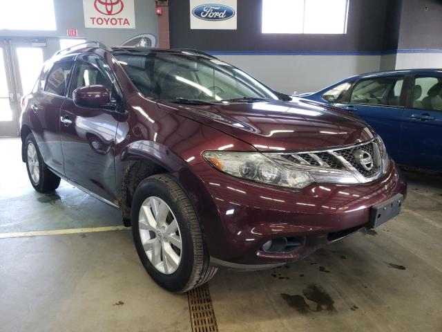 Photo 0 VIN: JN8AZ1MW7DW303167 - NISSAN MURANO S 