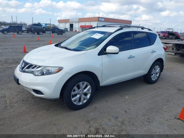 Photo 1 VIN: JN8AZ1MW7DW304528 - NISSAN MURANO 