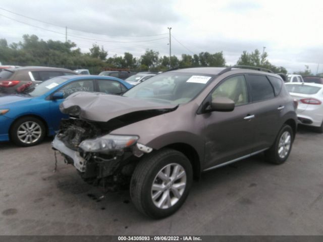 Photo 1 VIN: JN8AZ1MW7DW309325 - NISSAN MURANO 