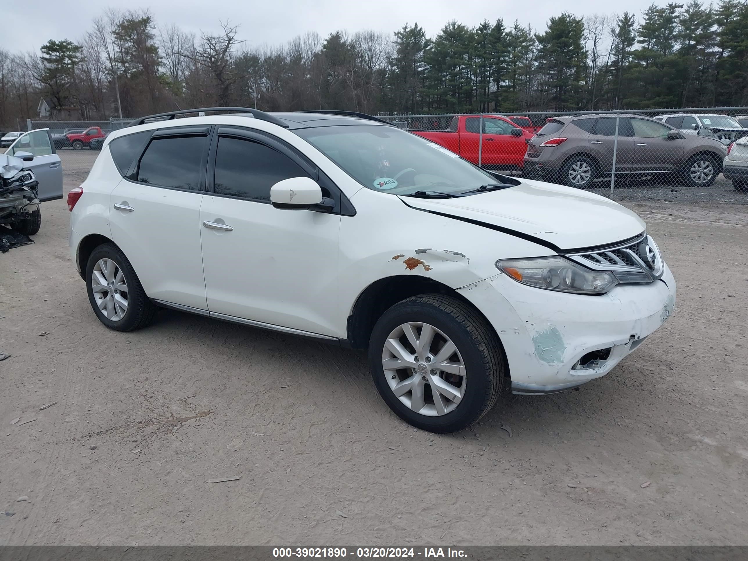 Photo 0 VIN: JN8AZ1MW7DW317036 - NISSAN MURANO 