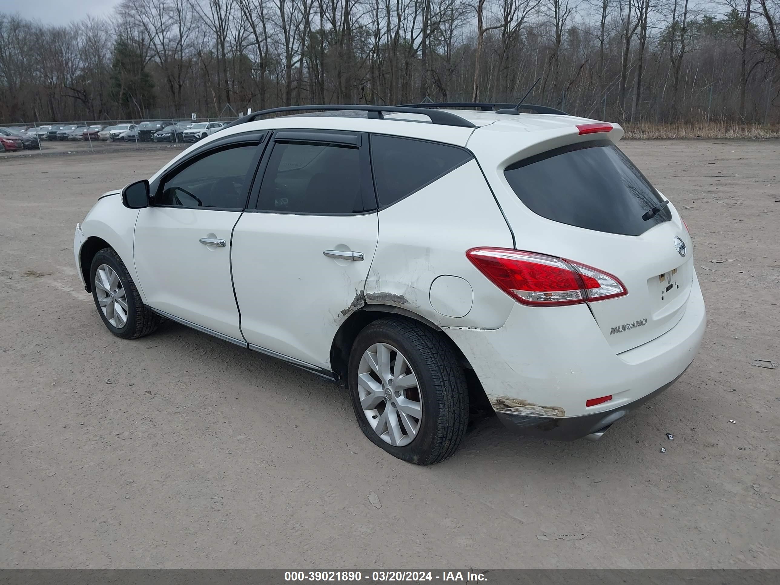 Photo 2 VIN: JN8AZ1MW7DW317036 - NISSAN MURANO 