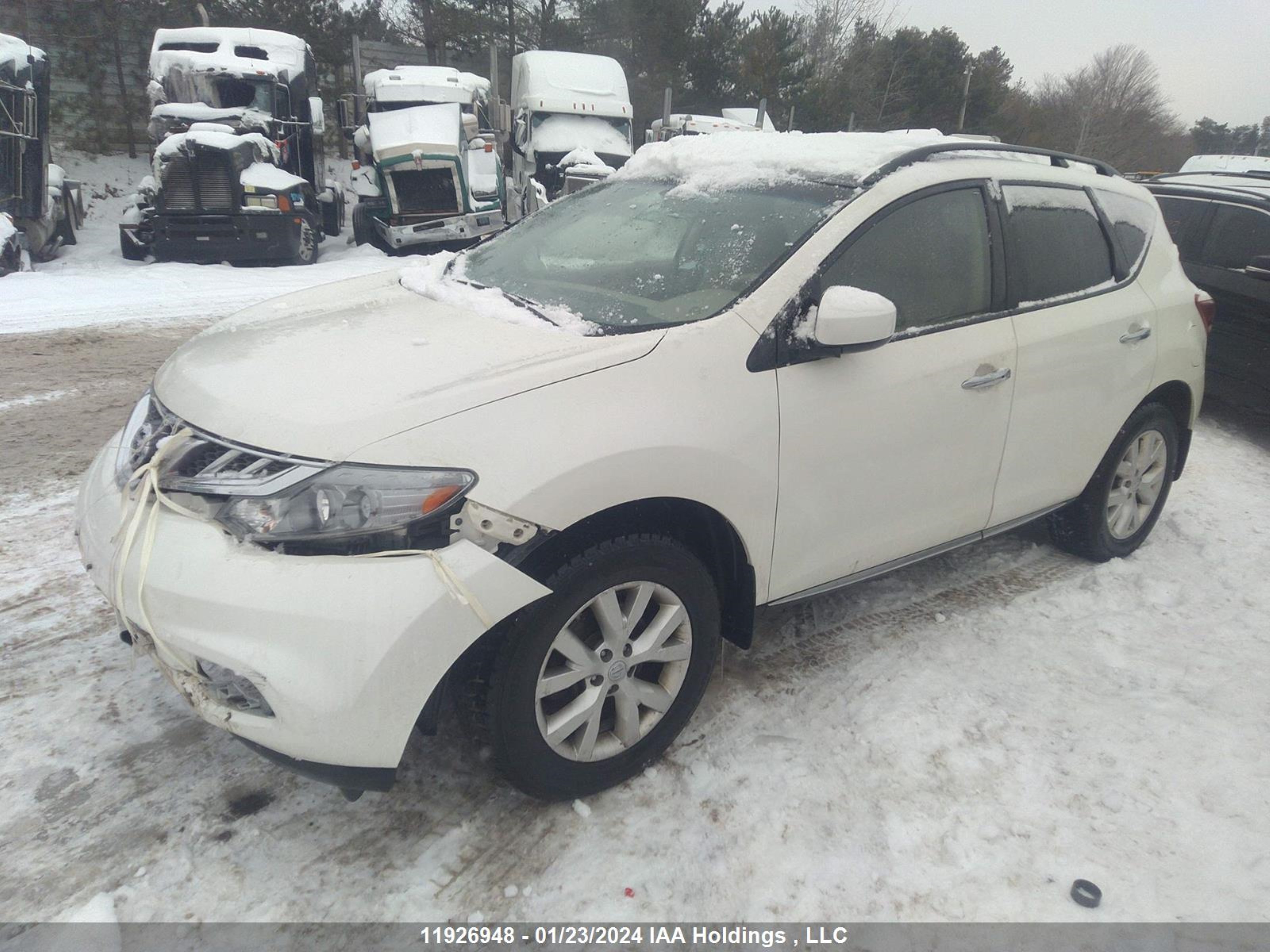 Photo 1 VIN: JN8AZ1MW7EW524527 - NISSAN MURANO 