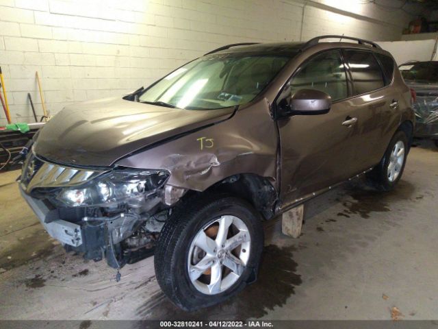 Photo 1 VIN: JN8AZ1MW8AW117648 - NISSAN MURANO 