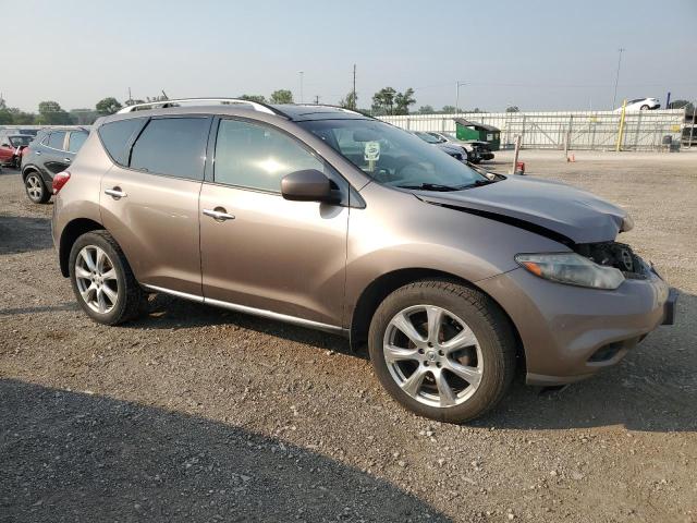 Photo 3 VIN: JN8AZ1MW8DW307454 - NISSAN MURANO S 