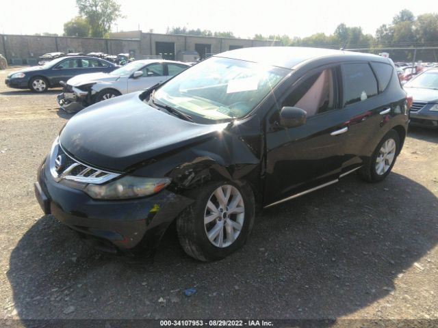 Photo 1 VIN: JN8AZ1MW8DW318180 - NISSAN MURANO 