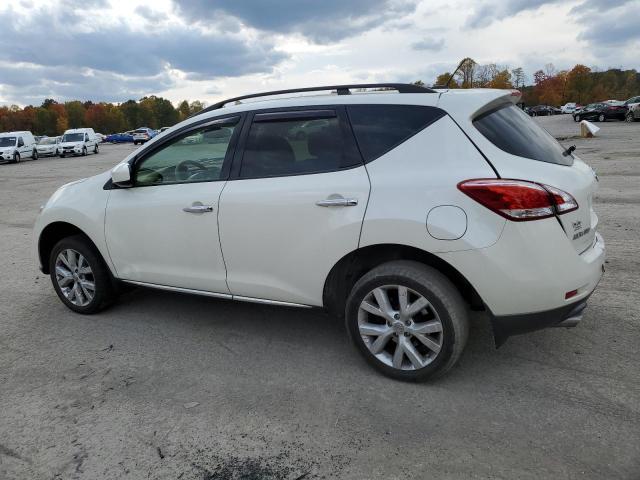 Photo 1 VIN: JN8AZ1MW9DW311495 - NISSAN MURANO S 